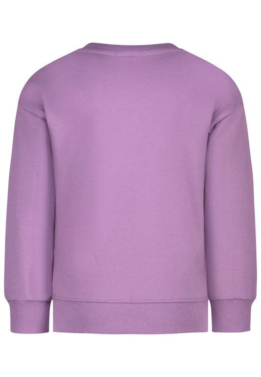 Salt and Pepper Sweatshirt Glitzerherz Tüll very grape