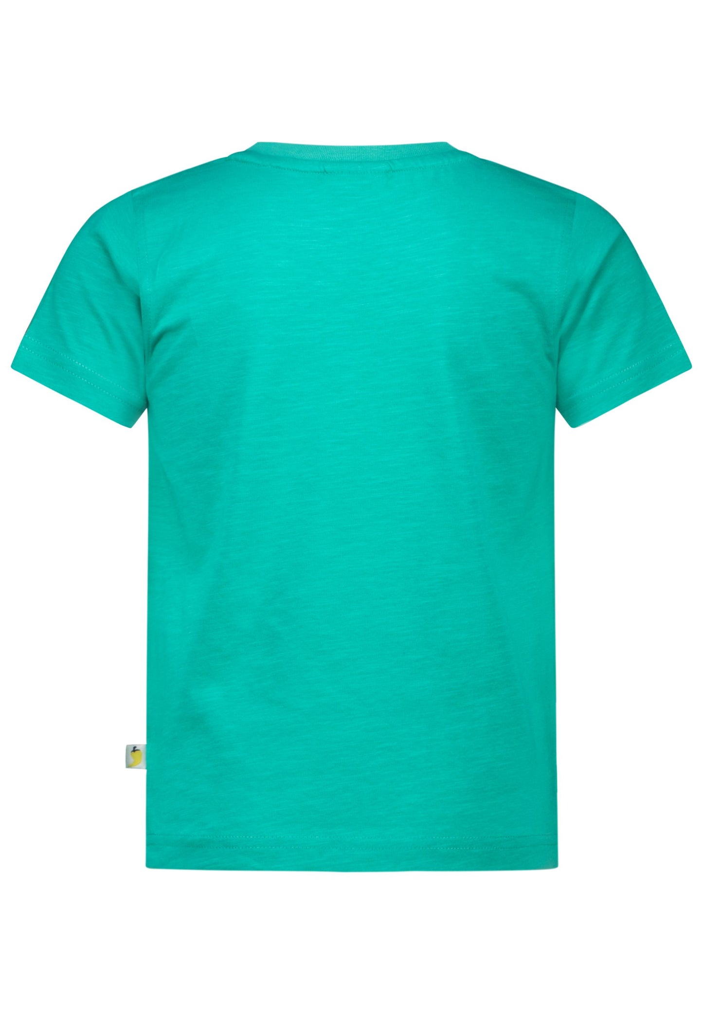 Salt and Pepper T-Shirt Baustelle (Motiv leuchtet) fresh green - Musterteil