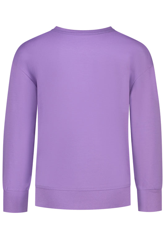 Salt and Pepper Sweaty Pferdekopf Pailletten tulip violet - Musterteil