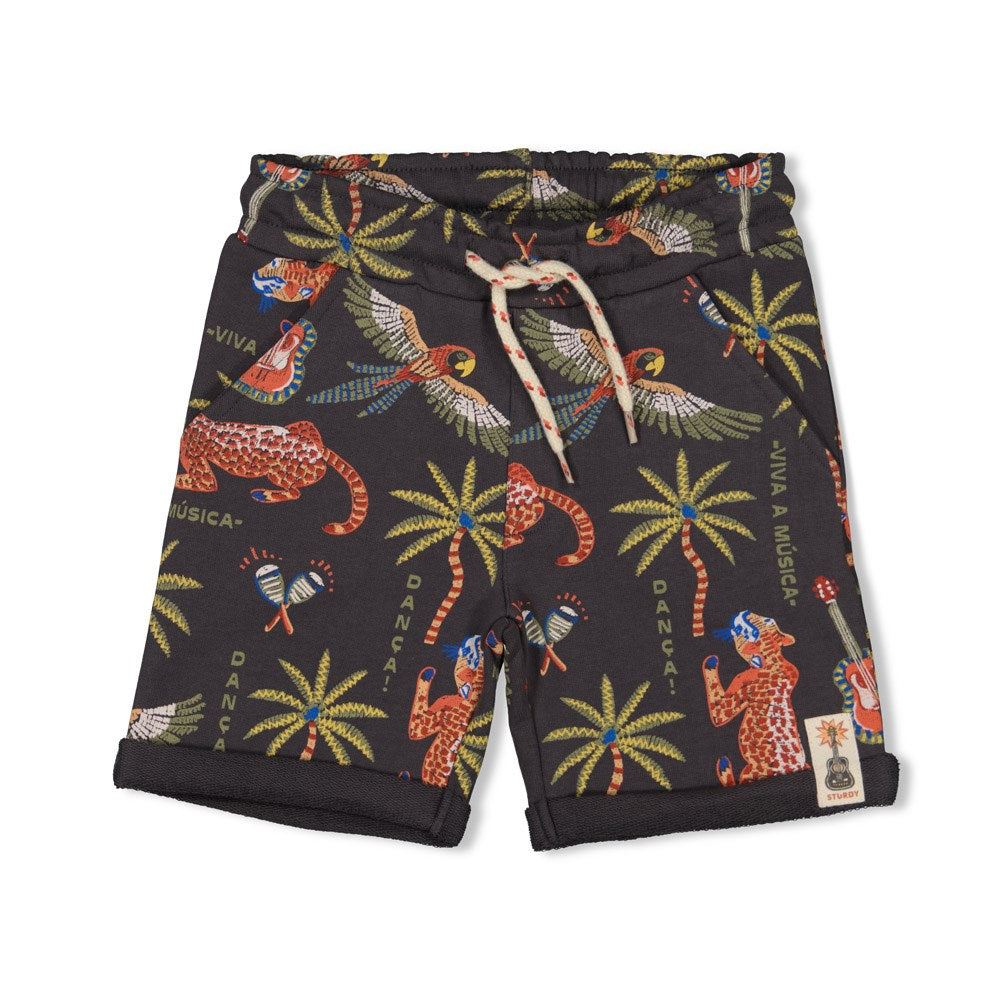 STURDY Sweatshorts Happy Rio anthrazit