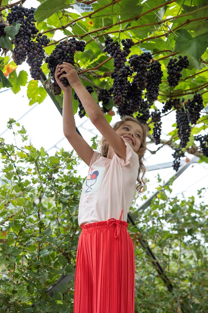 JUBEL Culotte Ciao Bella rot