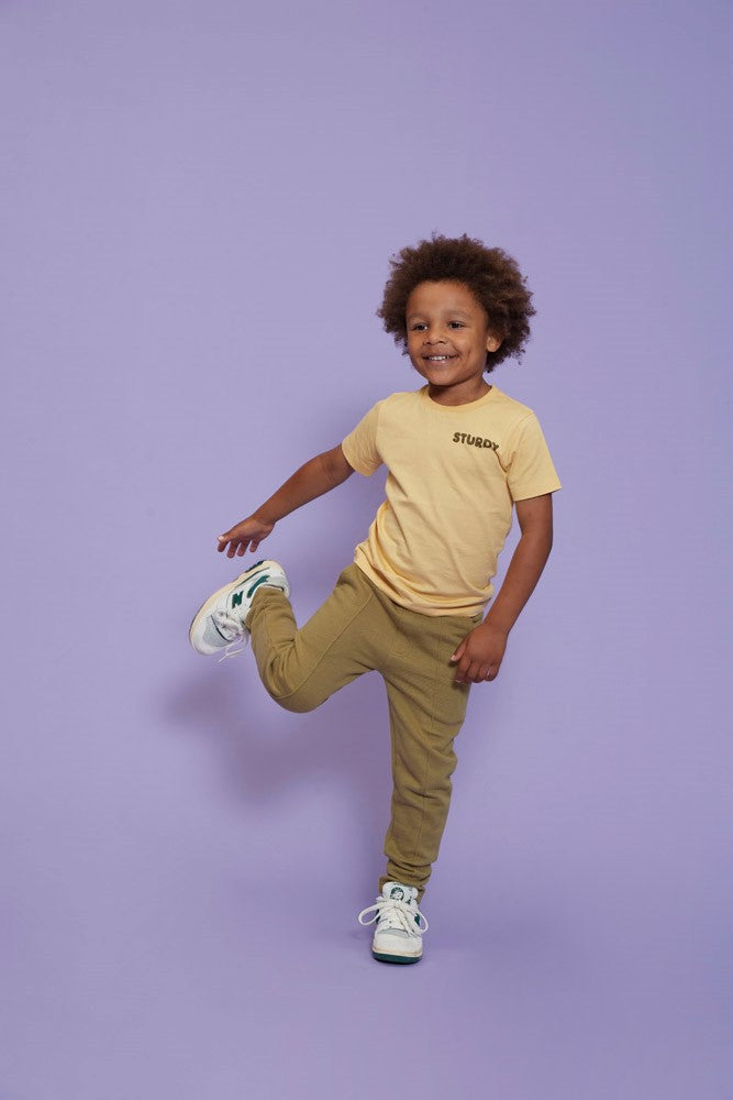 STURDY Sweathose Desert Fiesta army