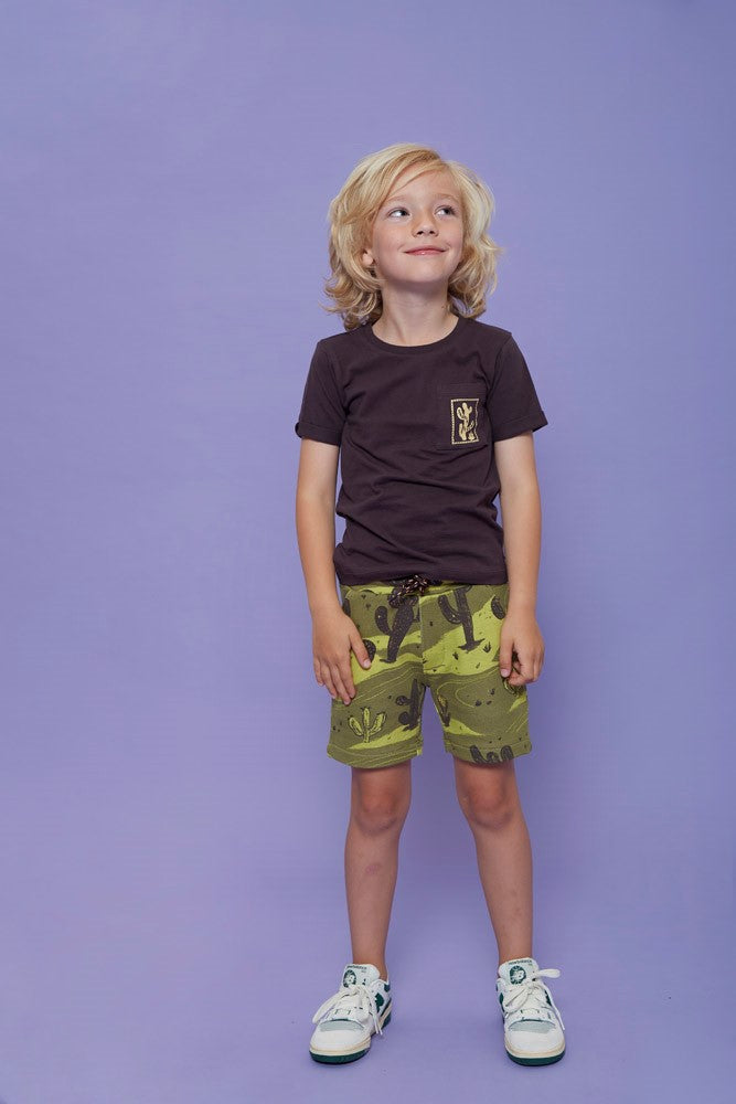 STURDY T-Shirt Desert Fiesta Rückenprint dunkelbraun