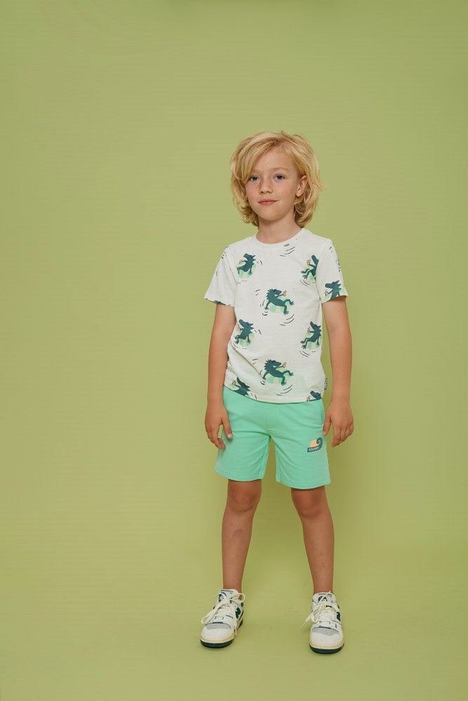 STURDY Sweatshorts Lagoon Legends grün