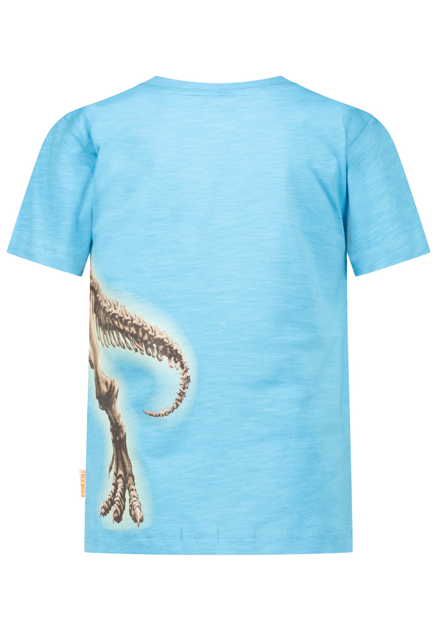 Salt and Pepper T-Shirt T-Rex (Motiv leuchtet) maui blue