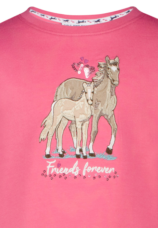 Salt and Pepper Sweatshirt Pferd/Fohlen tea rose - Musterteil
