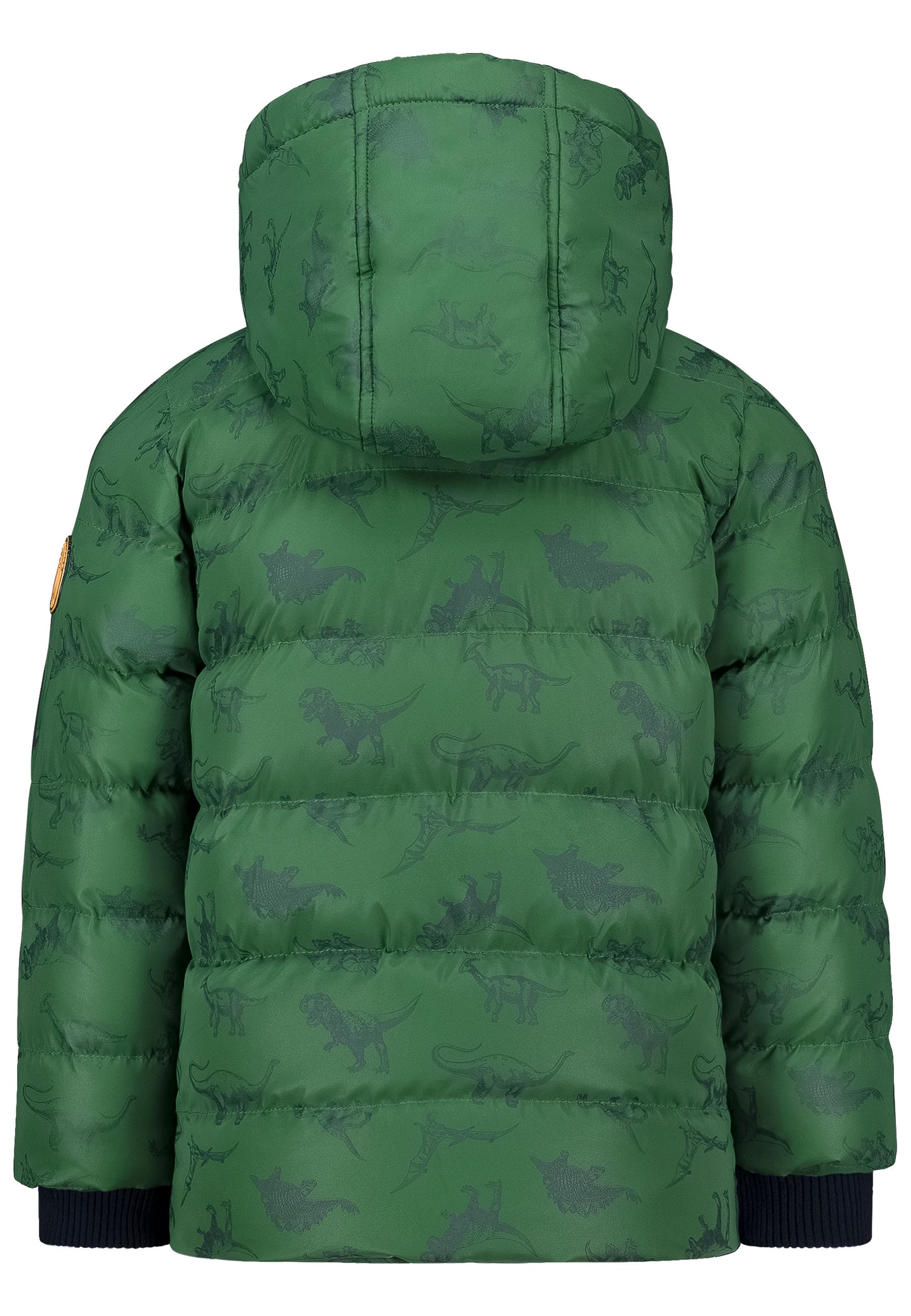 Salt and Pepper Winterjacke / Anorak Dinos forest green