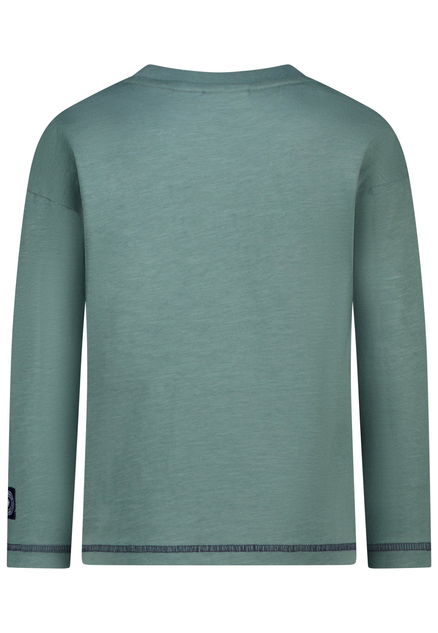 Salt and Pepper Shirt Dino Wendepailletten sage green