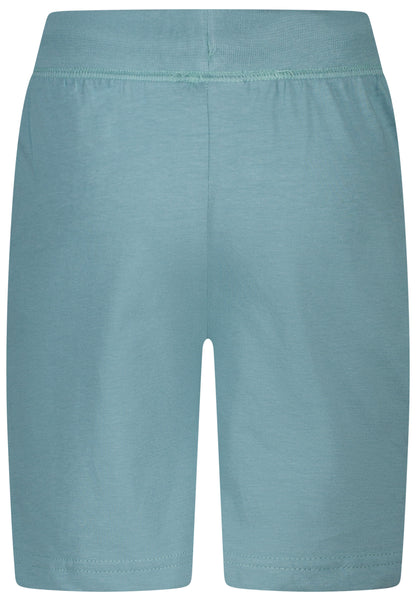 Salt and Pepper Basic Sweatshorts granite green - Musterteil
