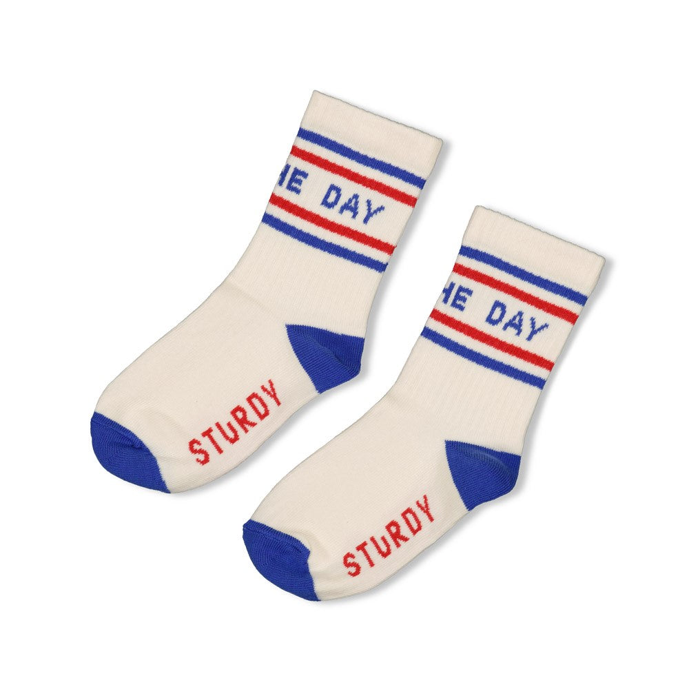 STURDY Socken Run the Day natur