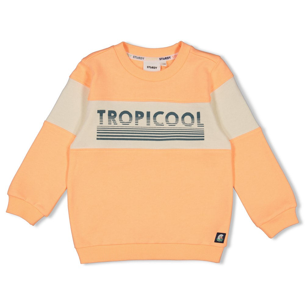 STURDY Sweaty Lagoon Legends neon orange