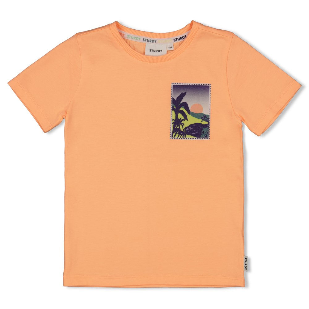 STURDY T-Shirt Lagoon Legends neon orange