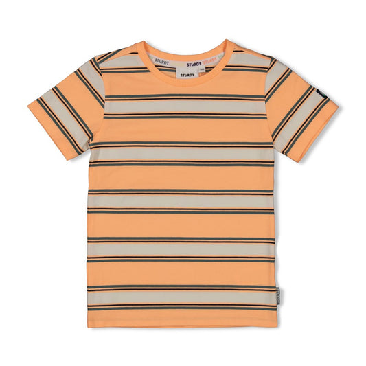 STURDY T-Shirt Lagoon Legends Streifen neon orange