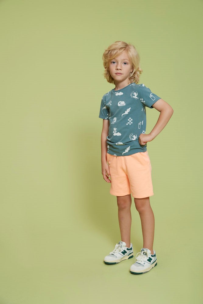 STURDY T-Shirt Lagoon Legends allover petrol