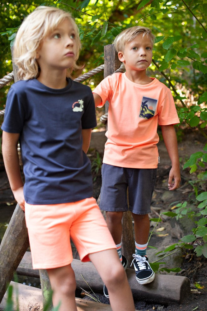 STURDY T-Shirt Lagoon Legends Rückenprint indigo