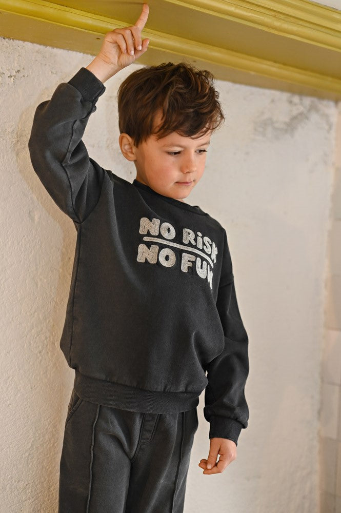 STURDY Sweatshirt Mountain Top anthrazit