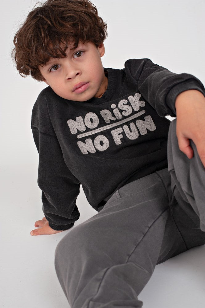 STURDY Sweatshirt Mountain Top anthrazit