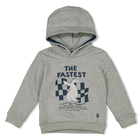 STURDY Kapuzensweat North Sea Party grey melange