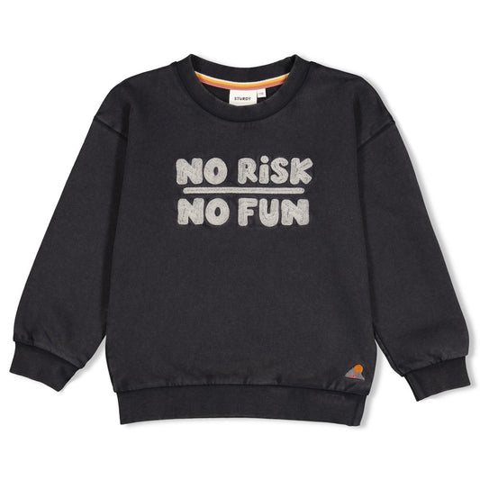 STURDY Sweatshirt Mountain Top anthrazit