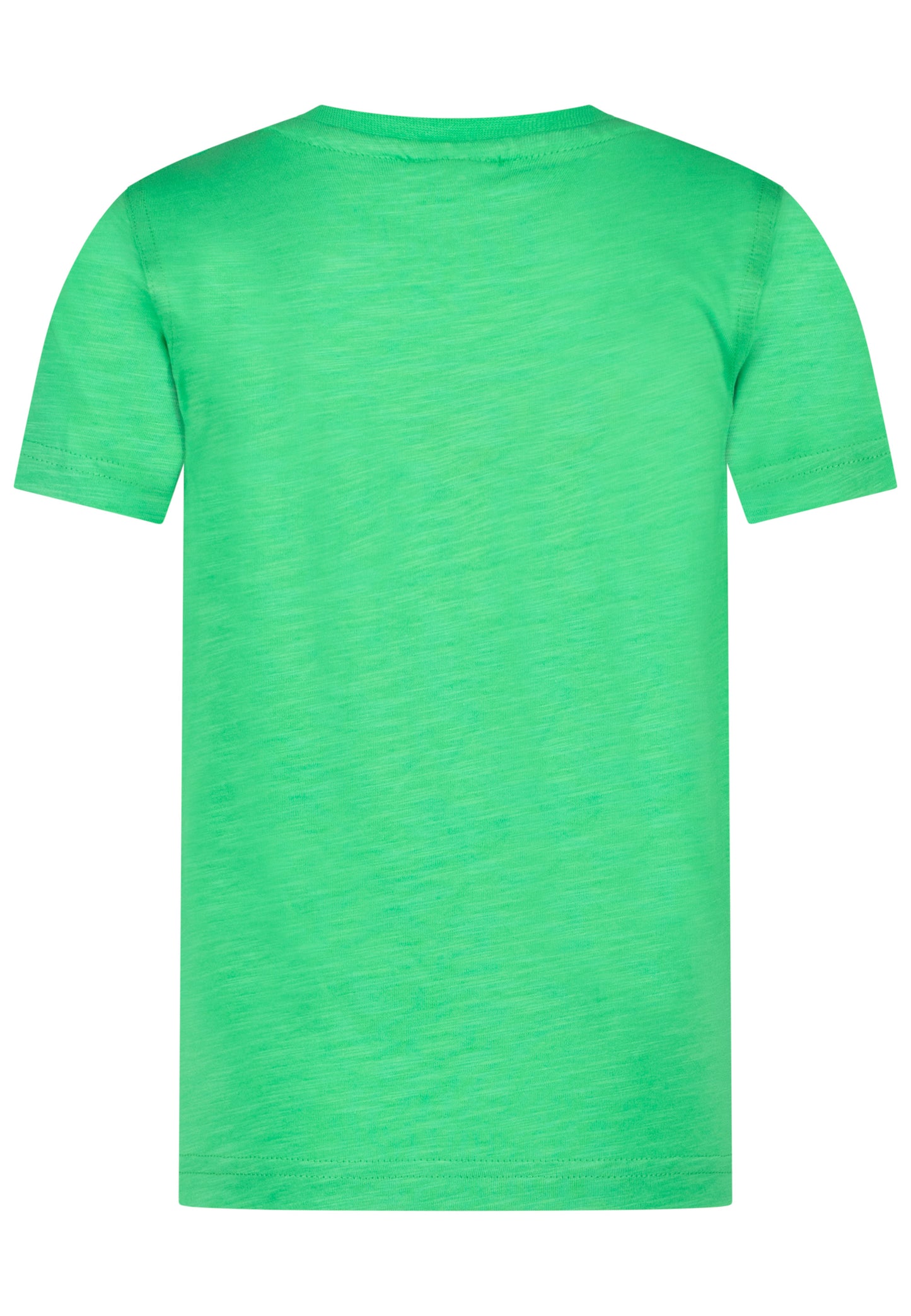 Salt and Pepper T-Shirt Traktor Power spring green