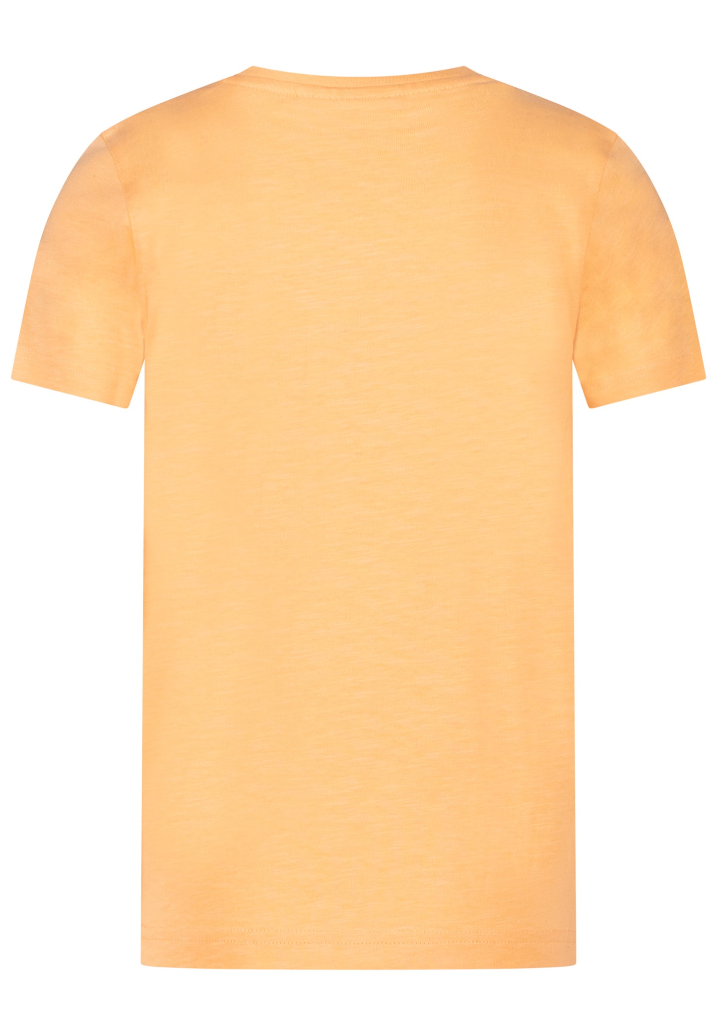 Salt and Pepper T-Shirt Dinosaurier Expert light orange