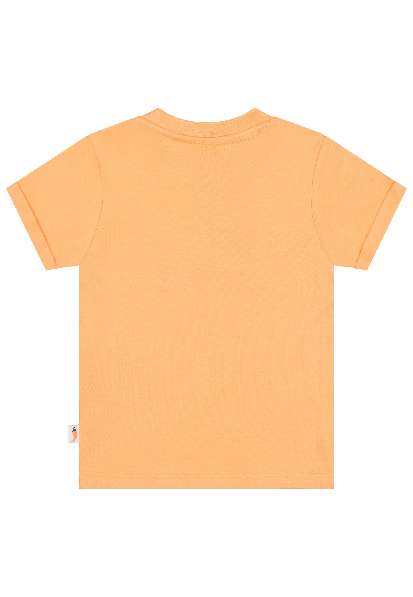 Salt and Pepper T-Shirt Roadtrip light orange